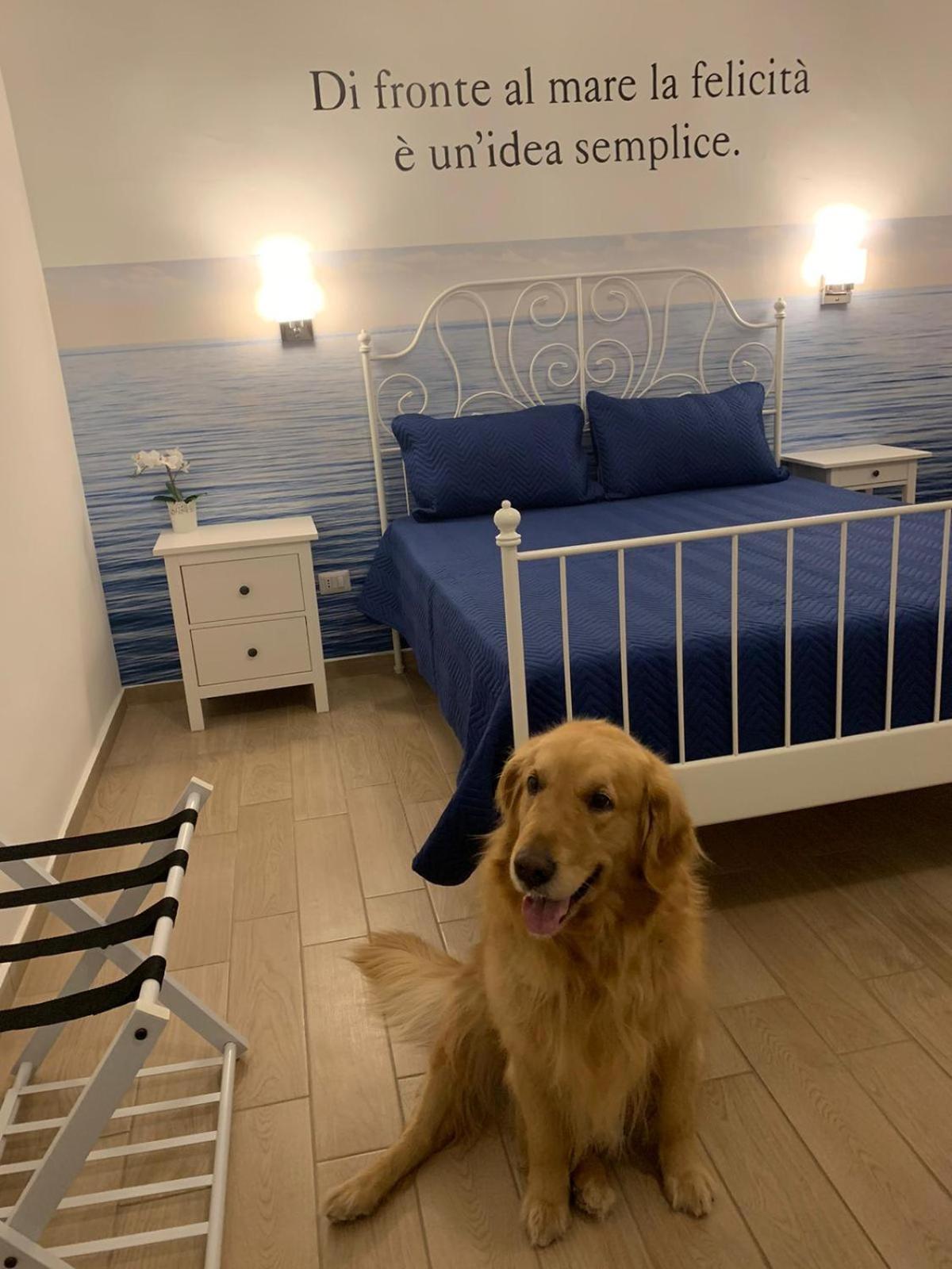 Mareluna Rooms Margherita Di Savoia Zewnętrze zdjęcie